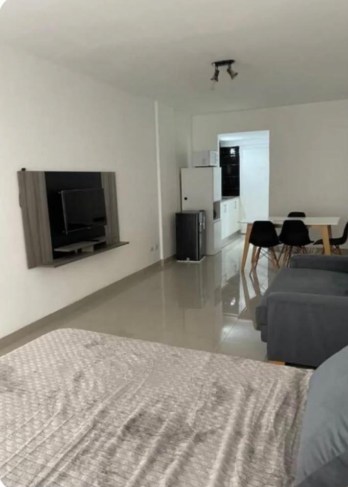 Foto de Departamento en Microcentro, imagen 3