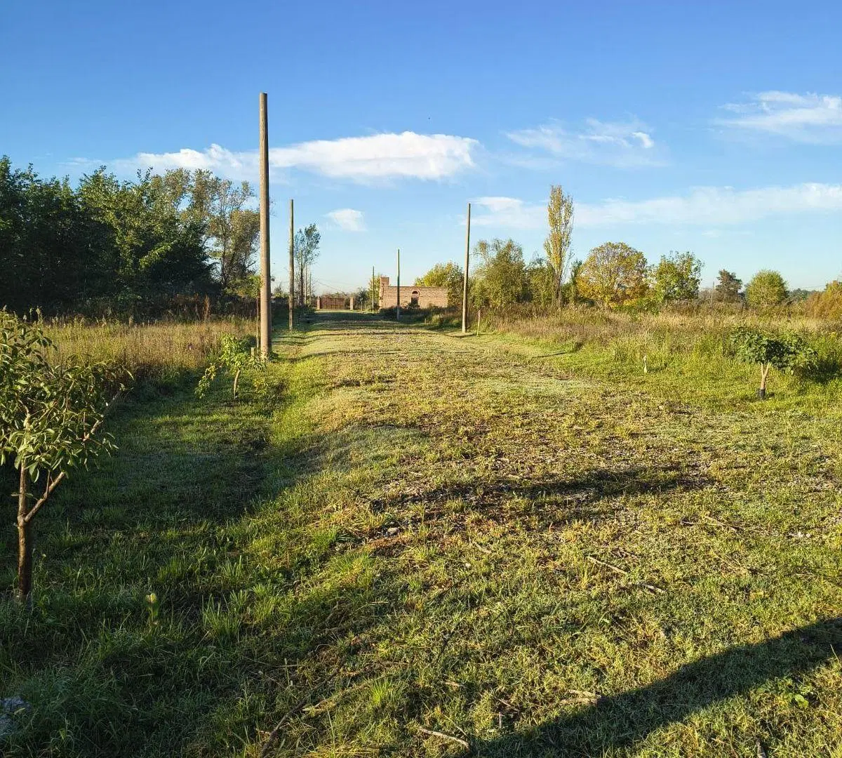 Terreno en condominio 5