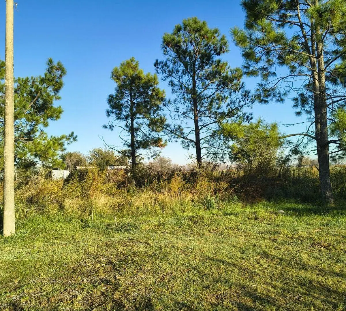 Terreno en condominio 4