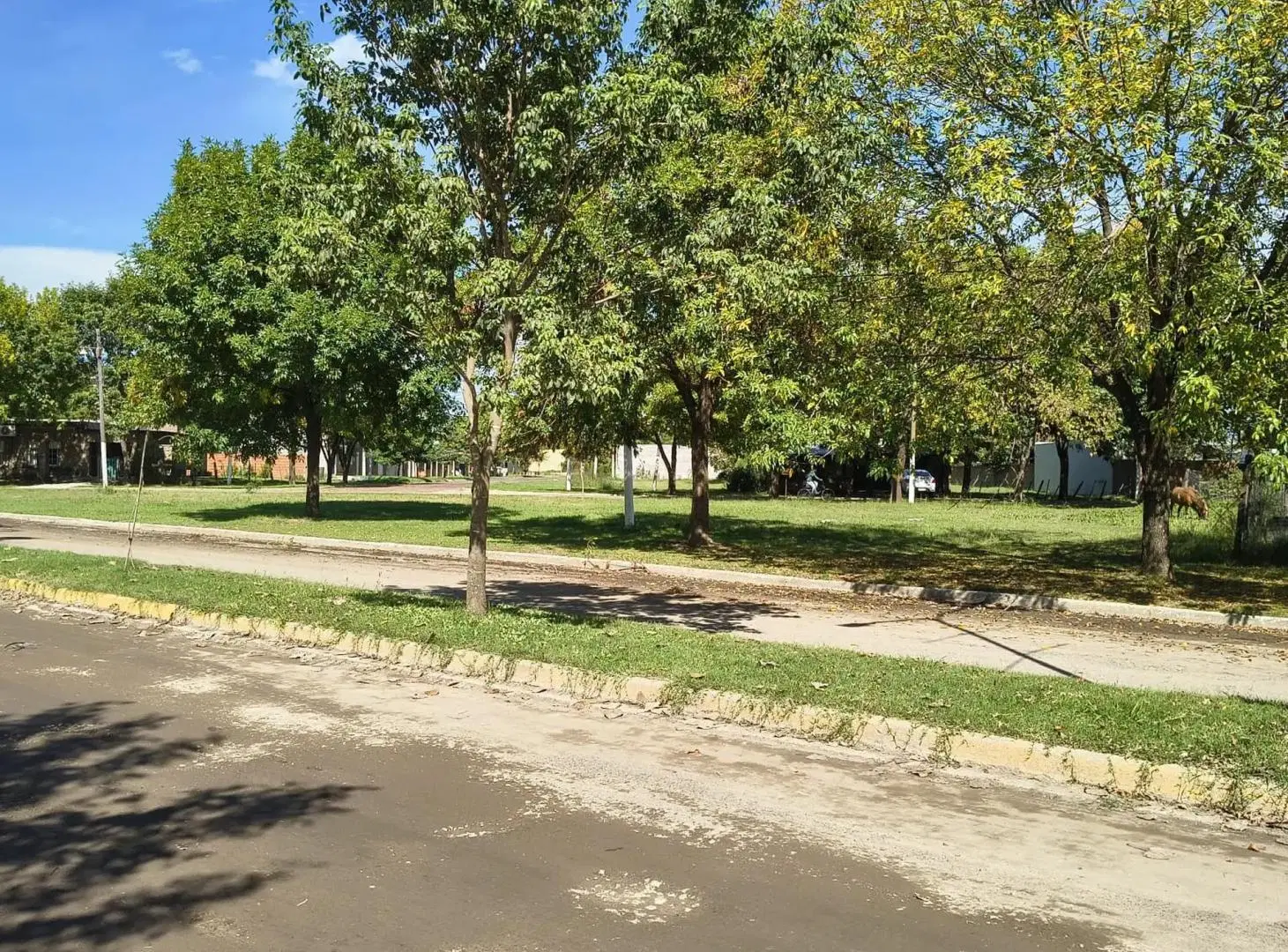 Terreno doble con excelente ubicación 5