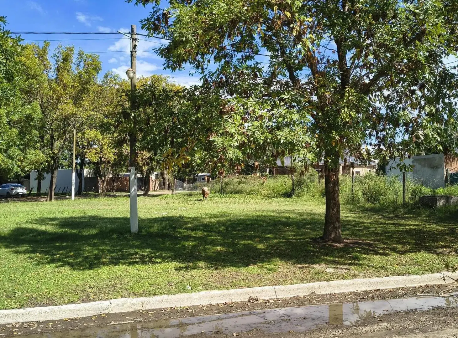 Terreno doble con excelente ubicación 3