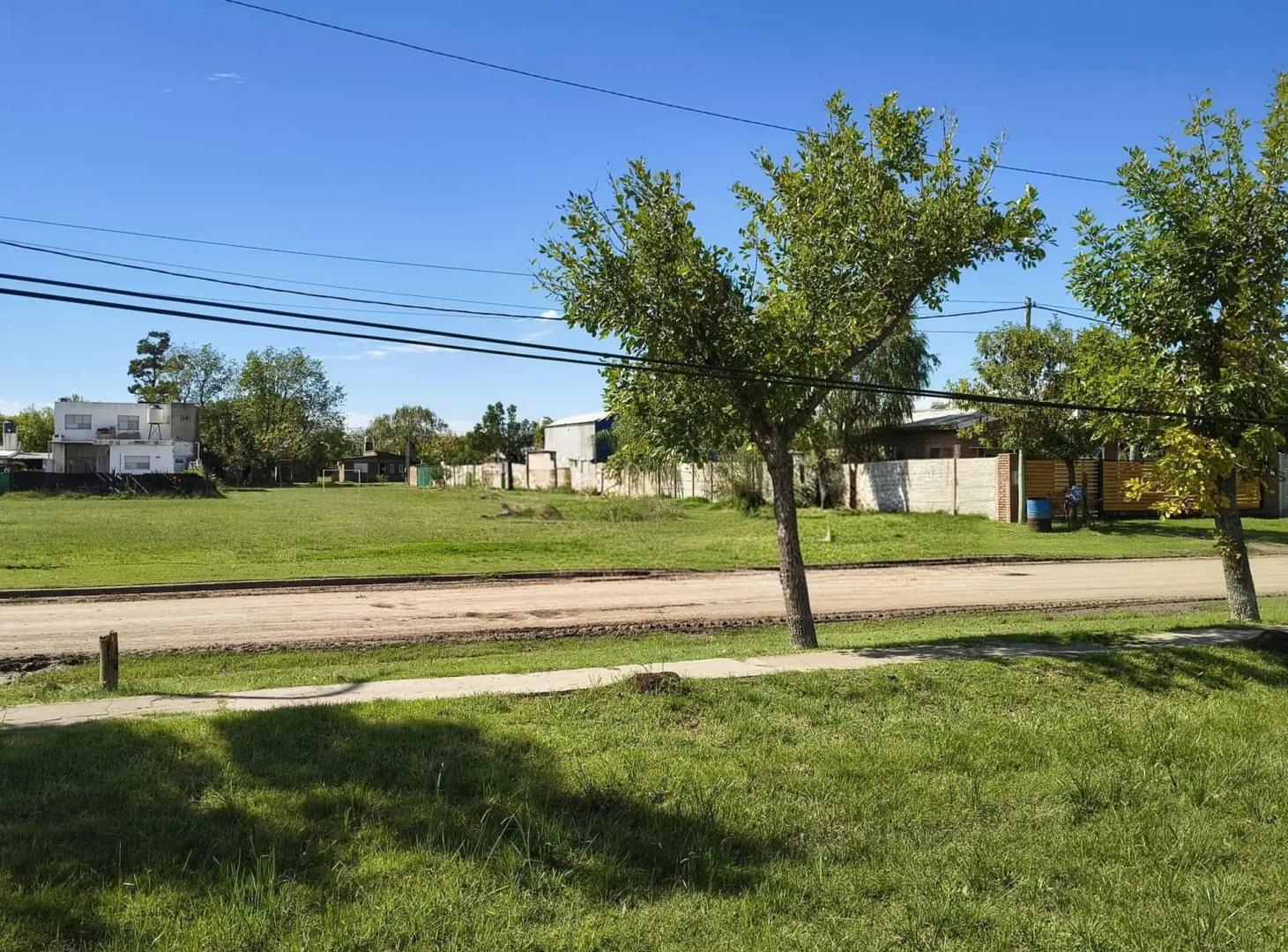 4 terrenos juntos o lotes separados