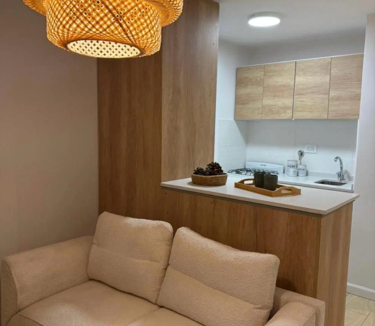 Departamento - Plaza Mitre 3