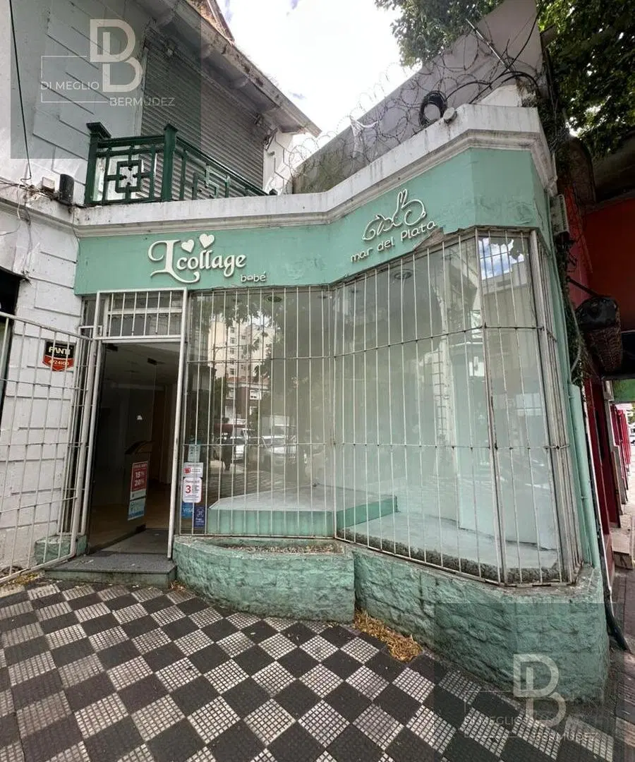 Local en Centro 3