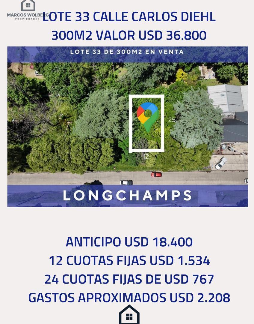 Foto de Terrenos a la venta Comercial sobre Carlos Diehl Longchamps, imagen 3