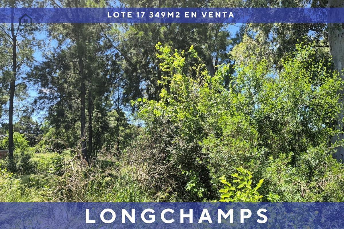 Foto de Terrenos en venta sobre la calle Gob. de la Serna al 1000 Longchamps, imagen 3