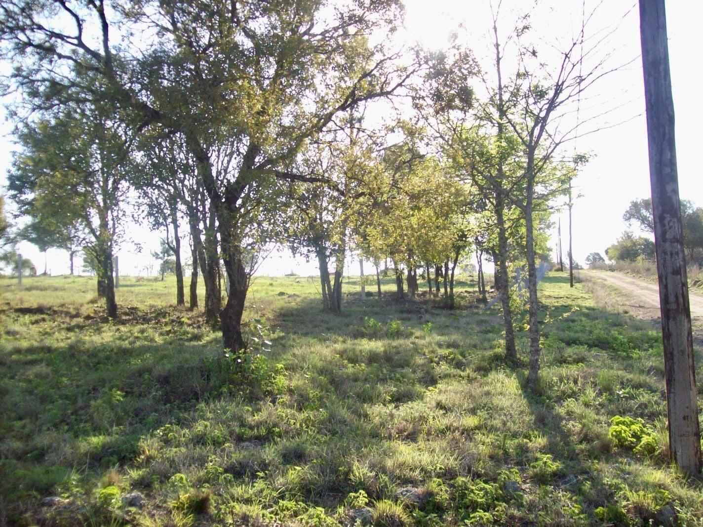 TERRENO EN VENTA VILLA GENERAL BELGRANO CON VISTAS