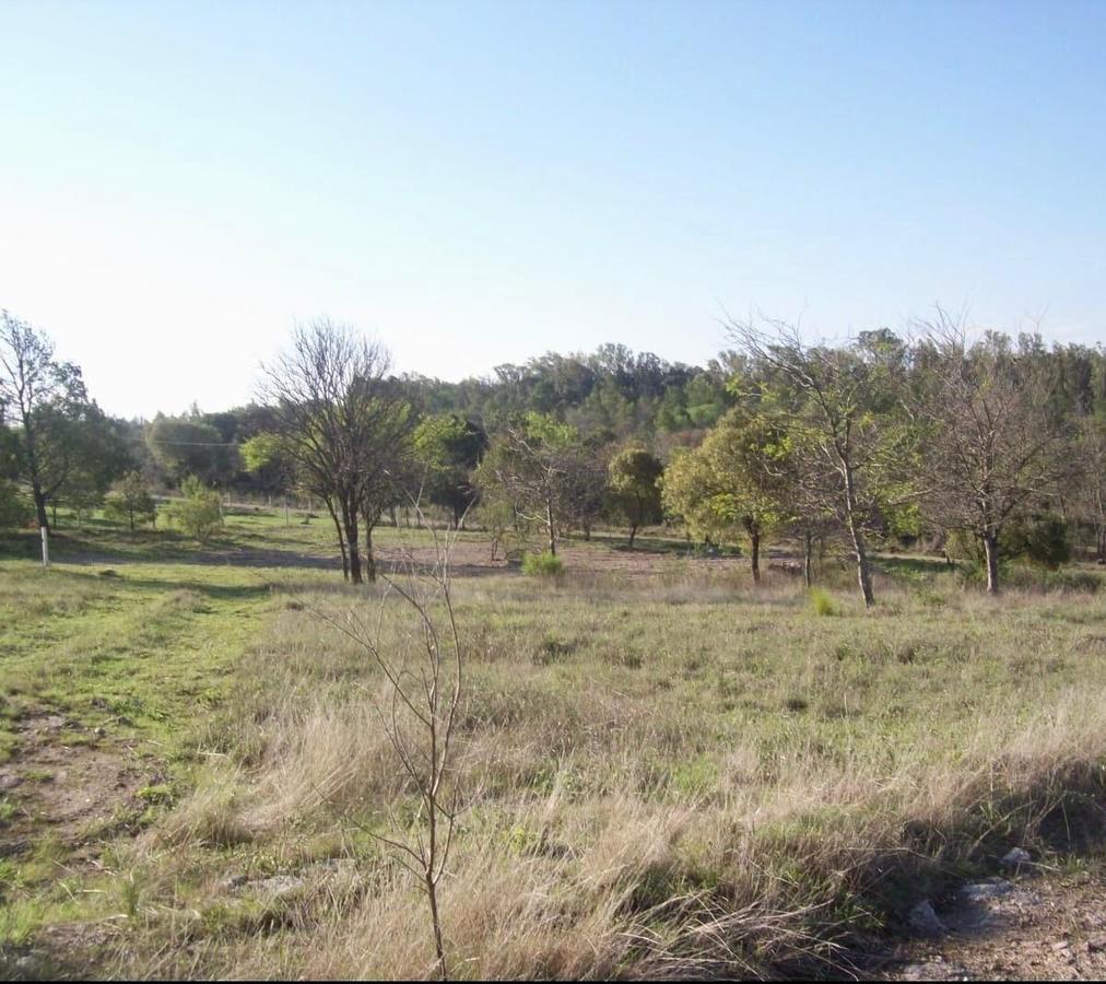 Foto de TERRENO EN VENTA VILLA GENERAL BELGRANO BARRIO EL ALTO CON VISTAS, imagen 4