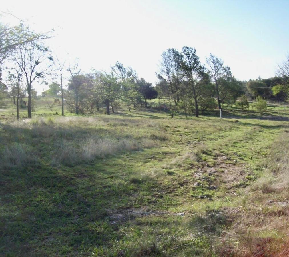 Foto de TERRENO EN VENTA VILLA GENERAL BELGRANO BARRIO EL ALTO CON VISTAS, imagen 1