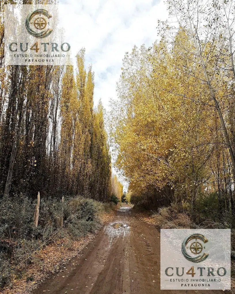 Terreno en  Barrio Chacras del Sur 4