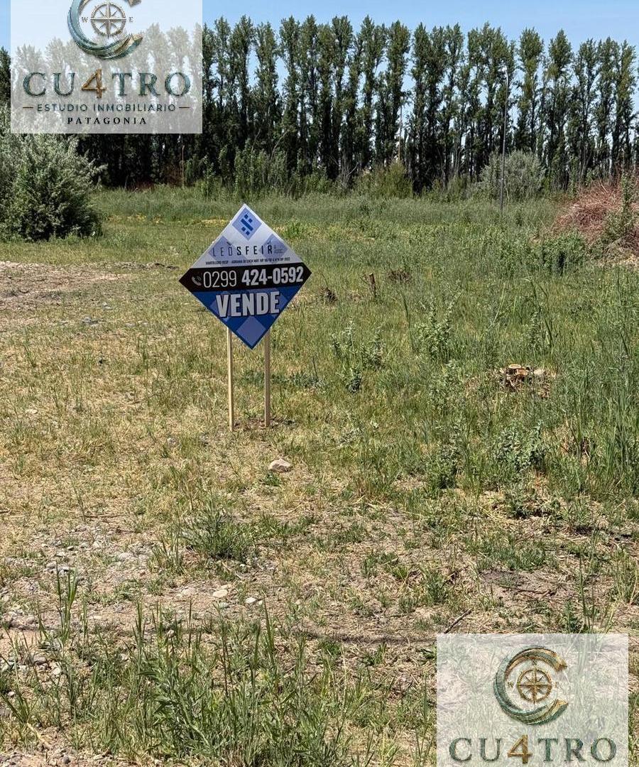Foto de VENTA LOTE 435M2 - LOTEO FIDEICOMISO CINCO SALTOS, imagen 3