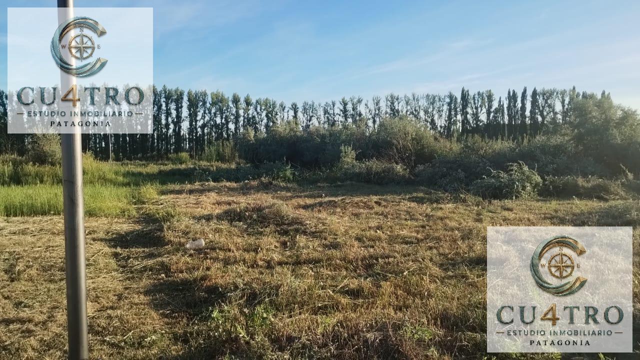 Foto de VENTA LOTE 435M2 - LOTEO FIDEICOMISO CINCO SALTOS, imagen 2