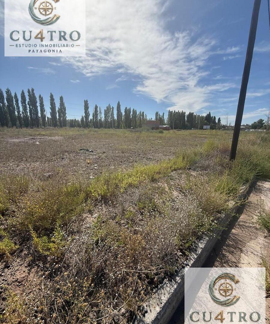 VENTA TERRENO 290 m2, LOTEO FIGUEROA, PLOTTIER, NEUQUÉN