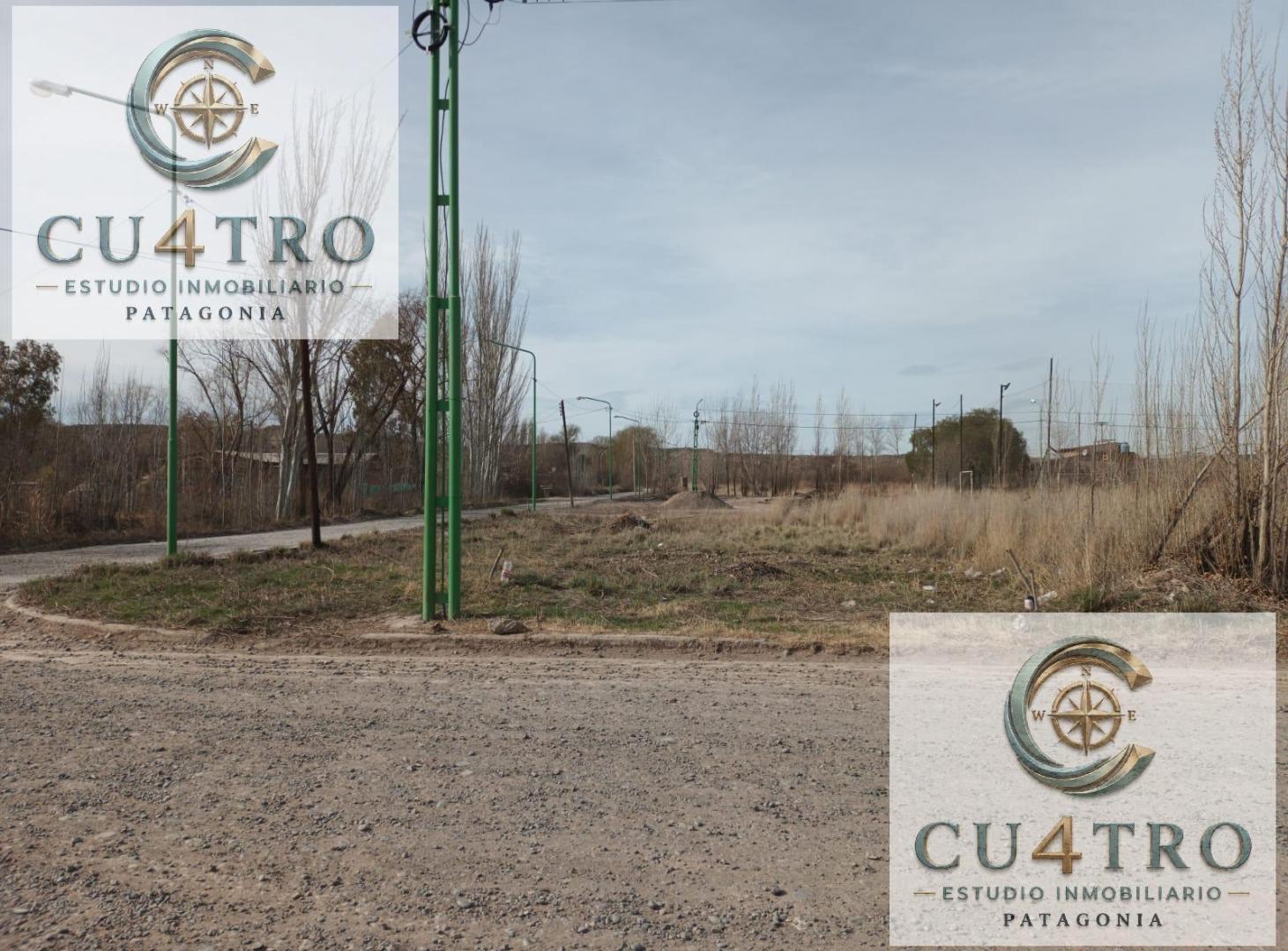 Foto de Terreno en Cinco Saltos, imagen 2