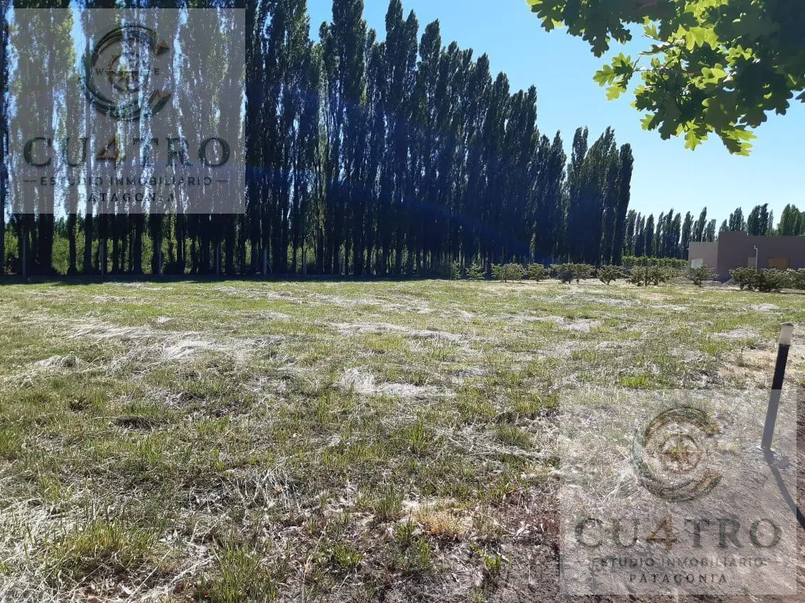 Venta de Terreno en B° Chacras del Sur, Gral. Roca, Río Negro 5