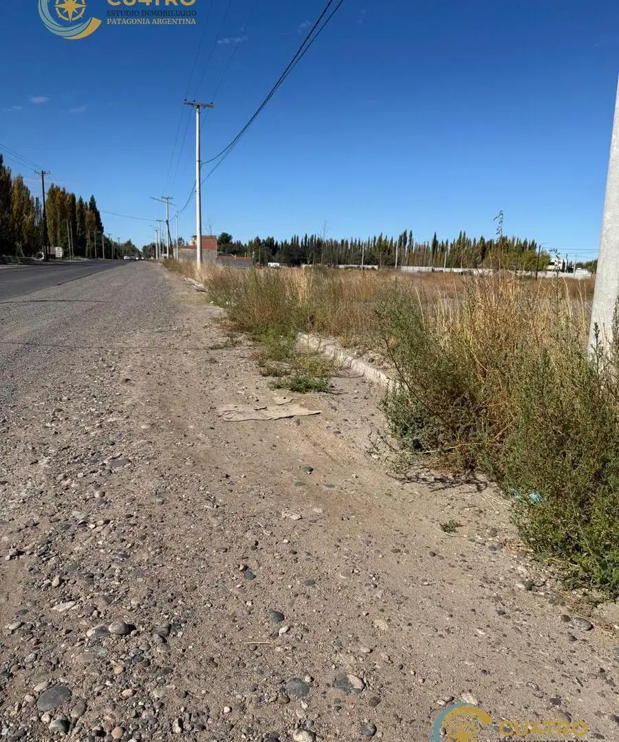 VENTA LOTES COMERCIALES, CALLE RIO COLORADO, PLOTTIER, NEUQUEN 4