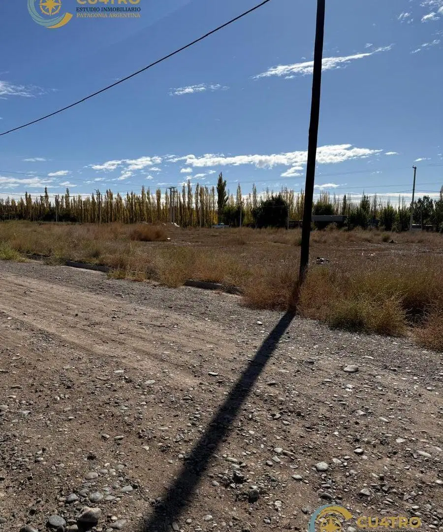 VENTA LOTES COMERCIALES, CALLE RIO COLORADO, PLOTTIER, NEUQUEN 5