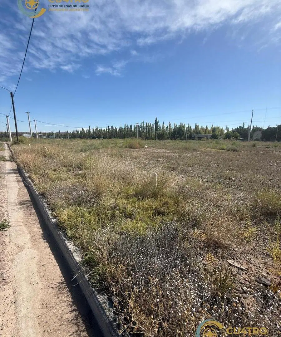 VENTA LOTES COMERCIALES, CALLE RIO COLORADO, PLOTTIER, NEUQUEN 3