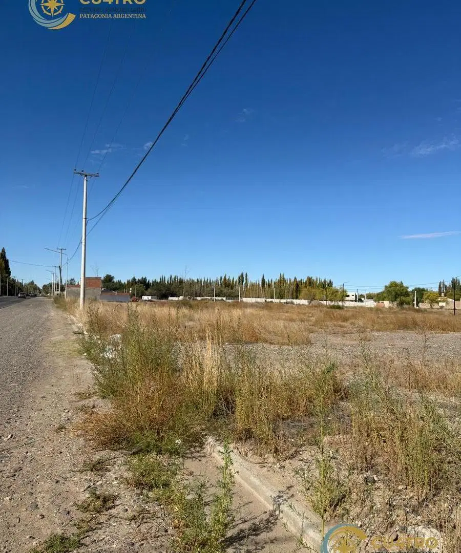 VENTA LOTES COMERCIALES, CALLE RIO COLORADO, PLOTTIER, NEUQUEN 8