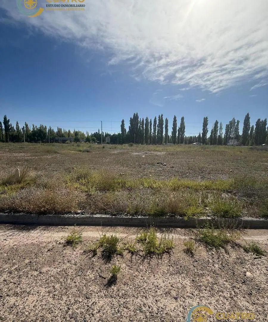 VENTA LOTES COMERCIALES, CALLE RIO COLORADO, PLOTTIER, NEUQUEN 2