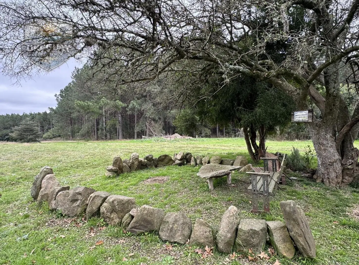Campo en Colonia con costa al río – Ideal desarrollo turístico 2