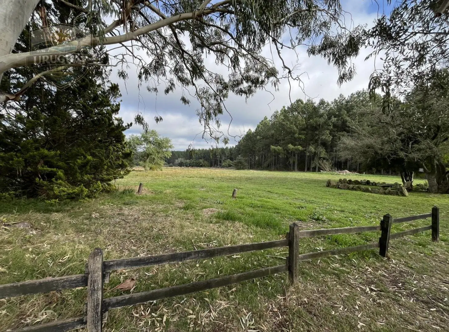 Campo en Colonia con costa al río – Ideal desarrollo turístico 3