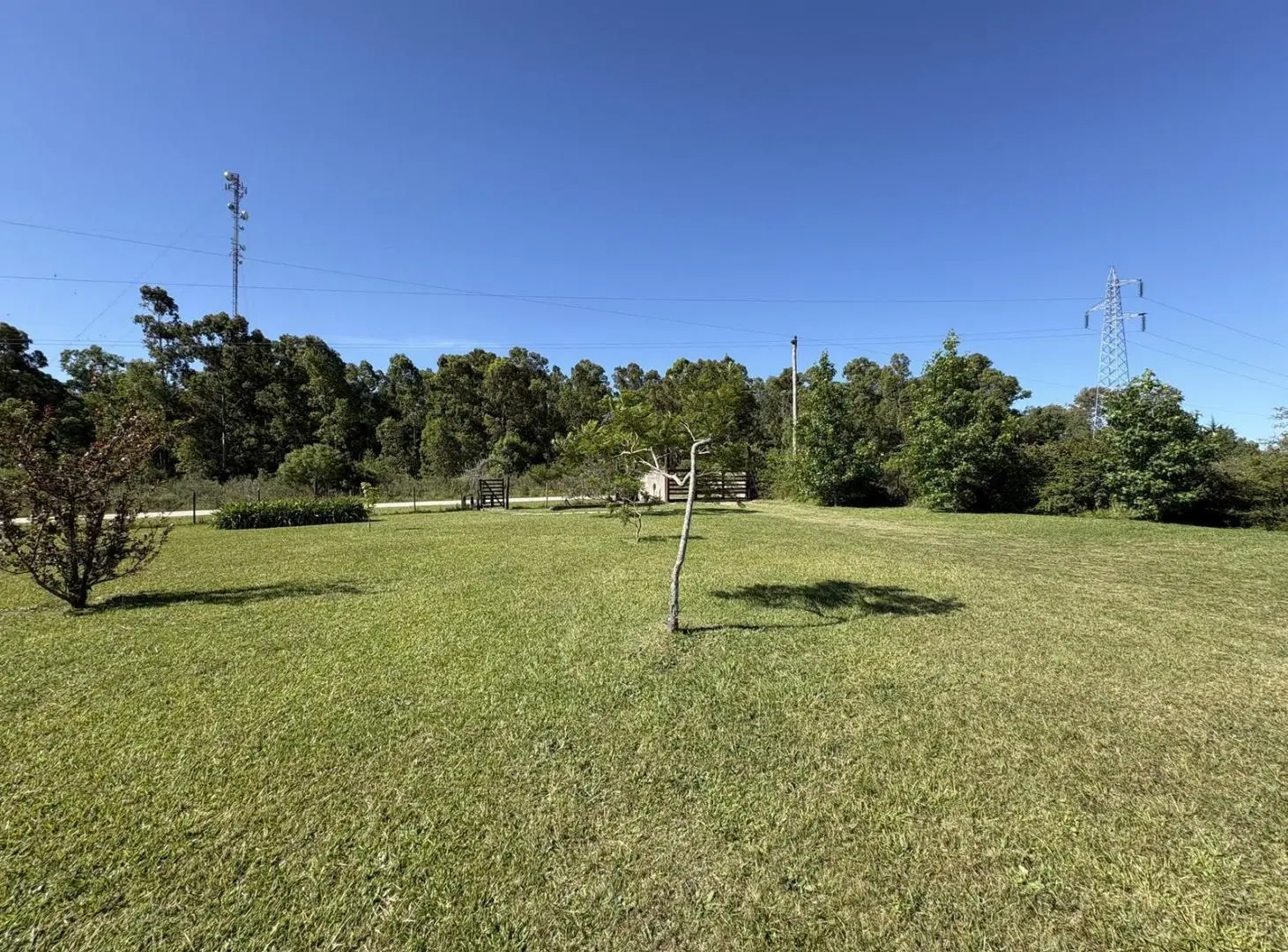 Viví el campo cerca de Colonia: chacra con vista al Río de la Plata 3