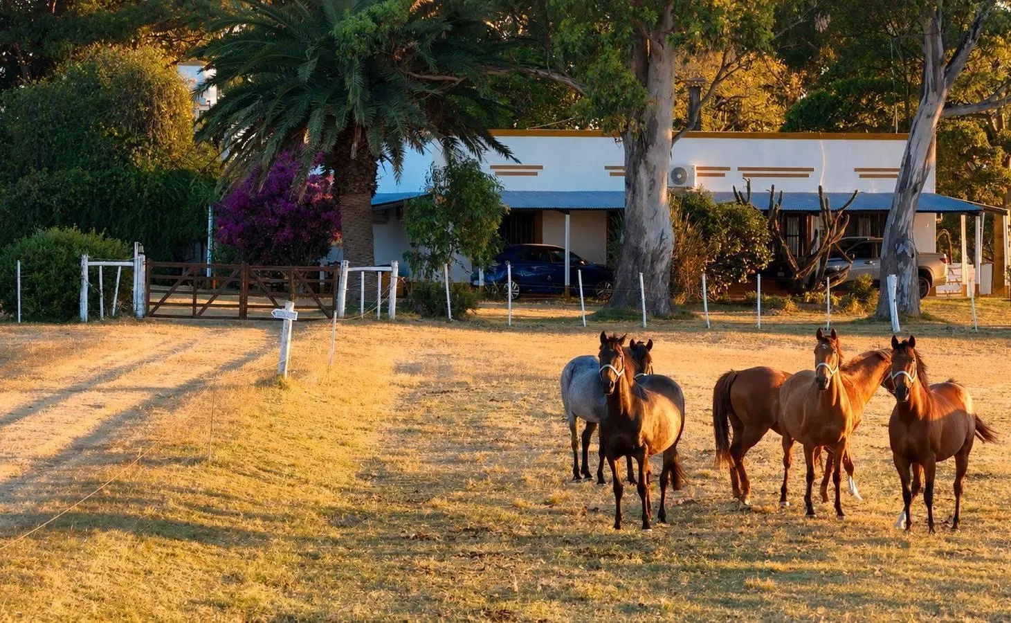Chacra Campo en Riachuelo, Colonia 5