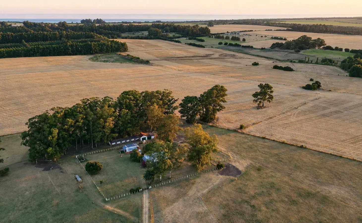 Chacra Campo en Riachuelo, Colonia 2