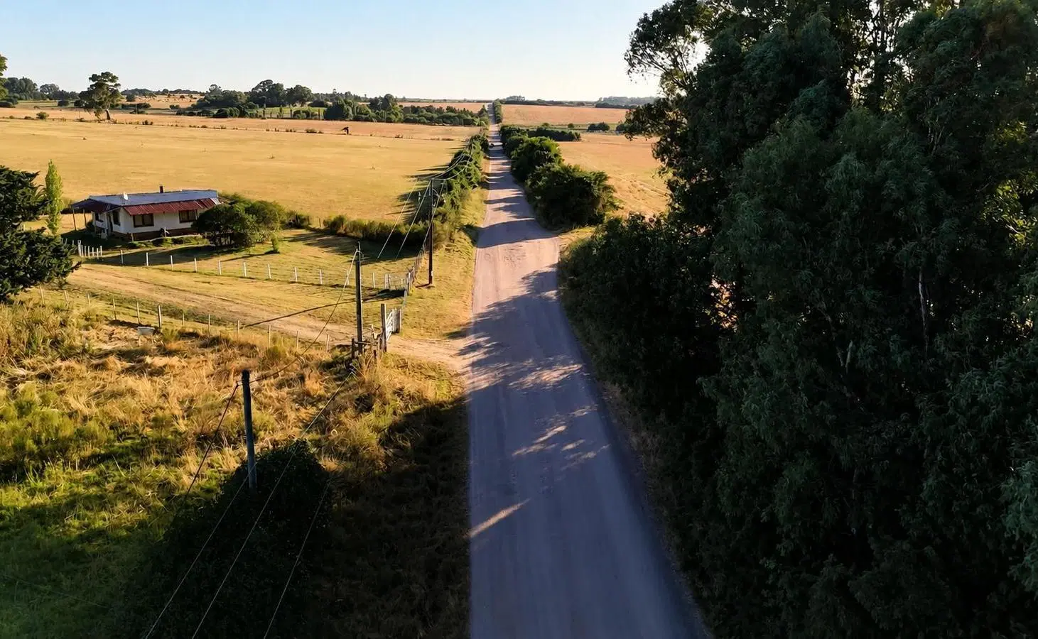 Chacra Campo en Riachuelo, Colonia 4