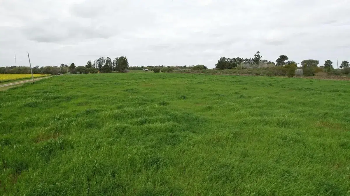 Venta de Chacra en Colonia, San Pedro 2