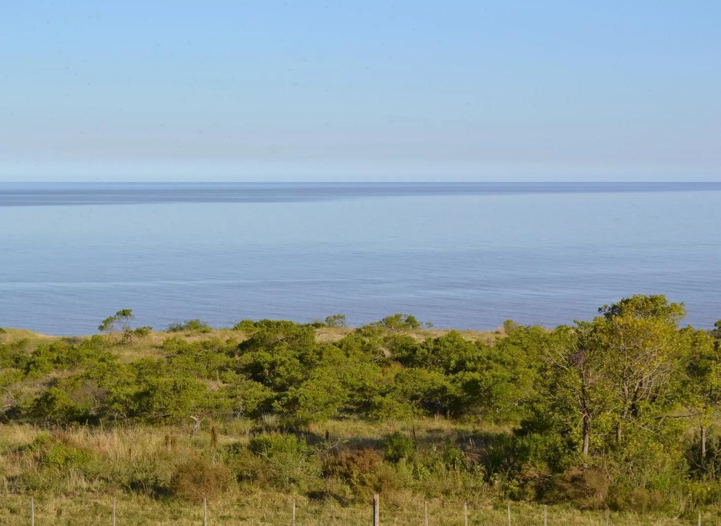 Campo con Vistas al Río de la Plata 4