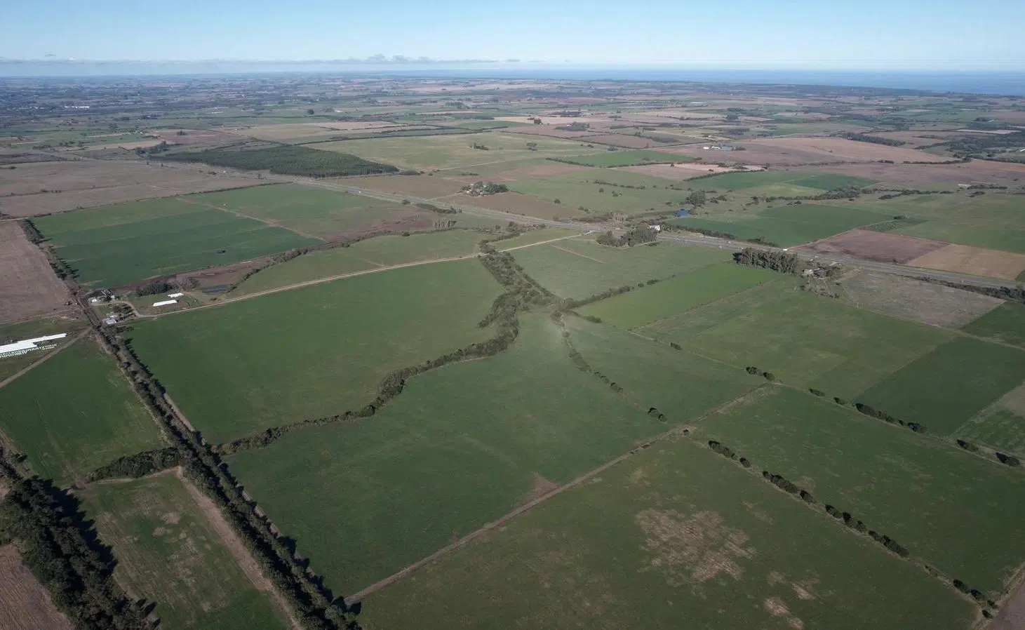 Campo con frente a Ruta 1, Colonia 4
