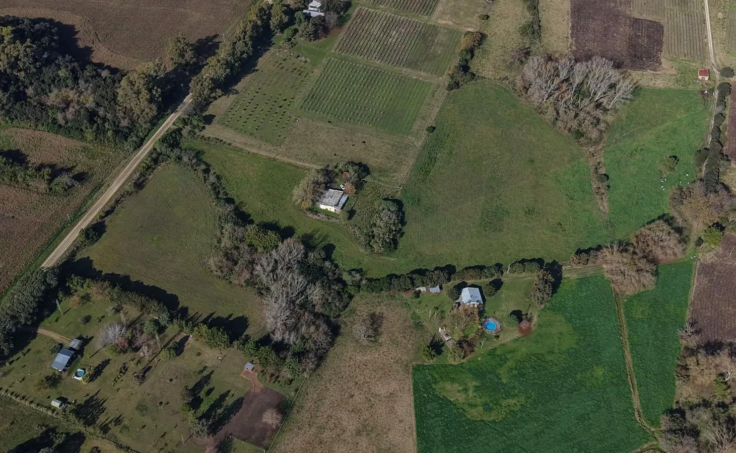 Venta Chacra sin construcciones Colonia San Pedro 5