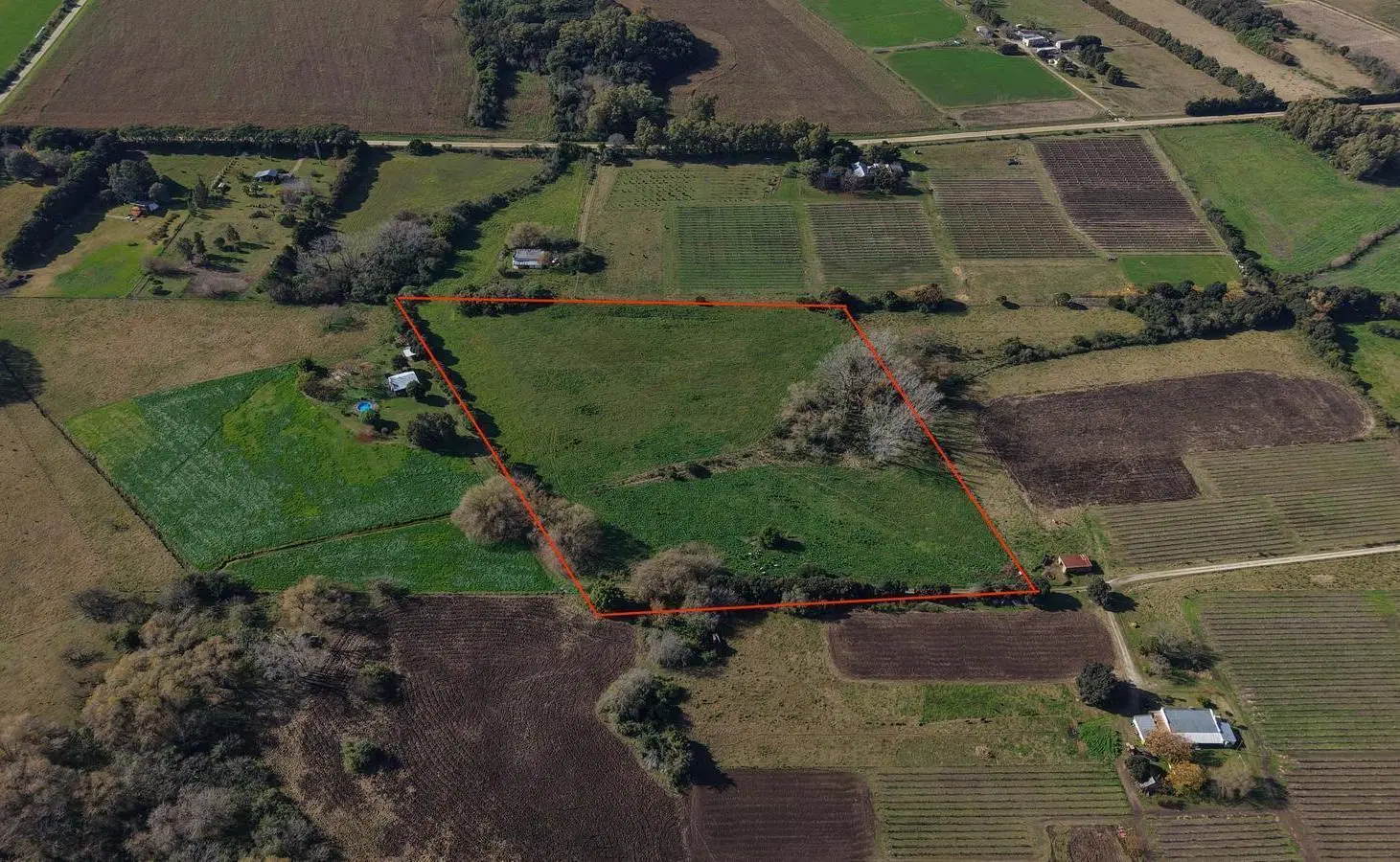 Venta Chacra sin construcciones Colonia San Pedro 4