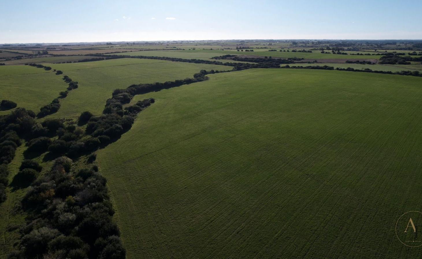 Foto de Campo con frente a Ruta 1, Colonia, imagen 5