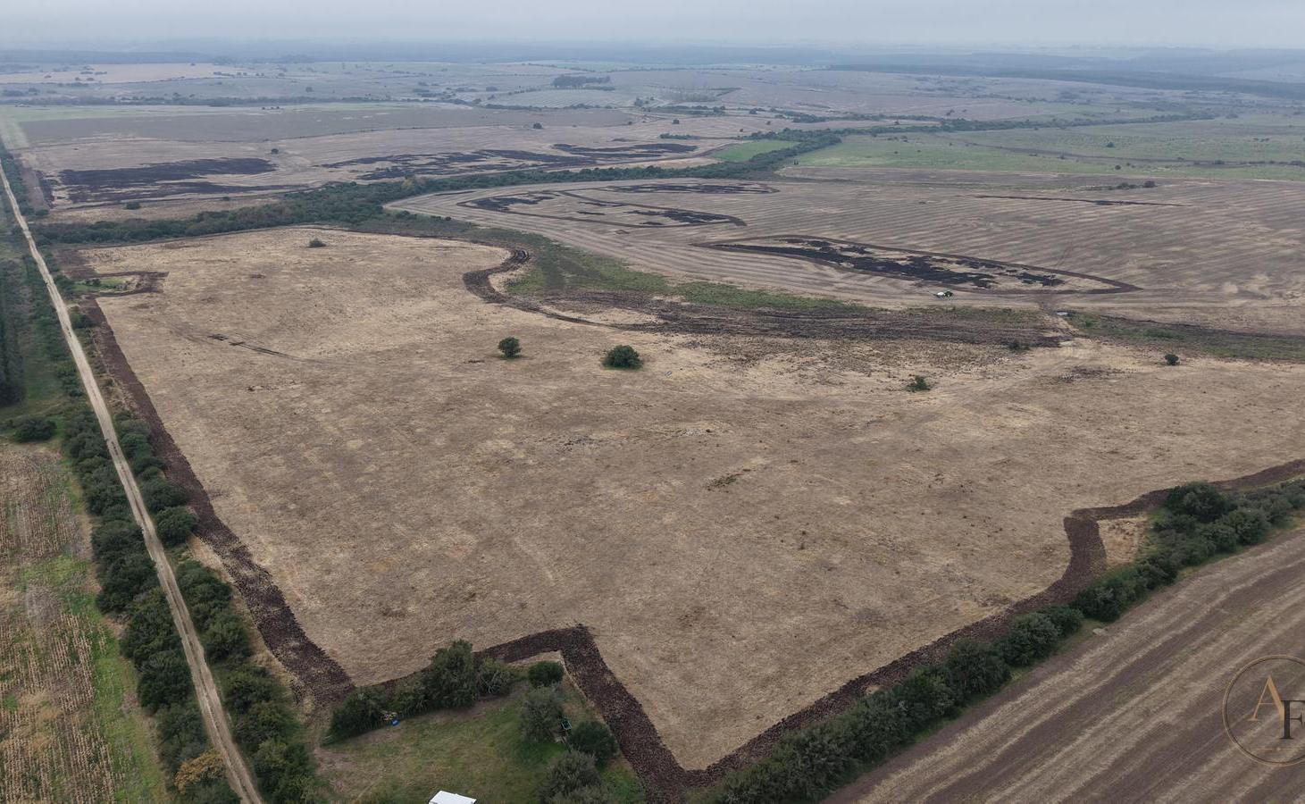Foto de Venta de Campo en Miguelete, Colonia | Arrendado y con Potencial, imagen 5