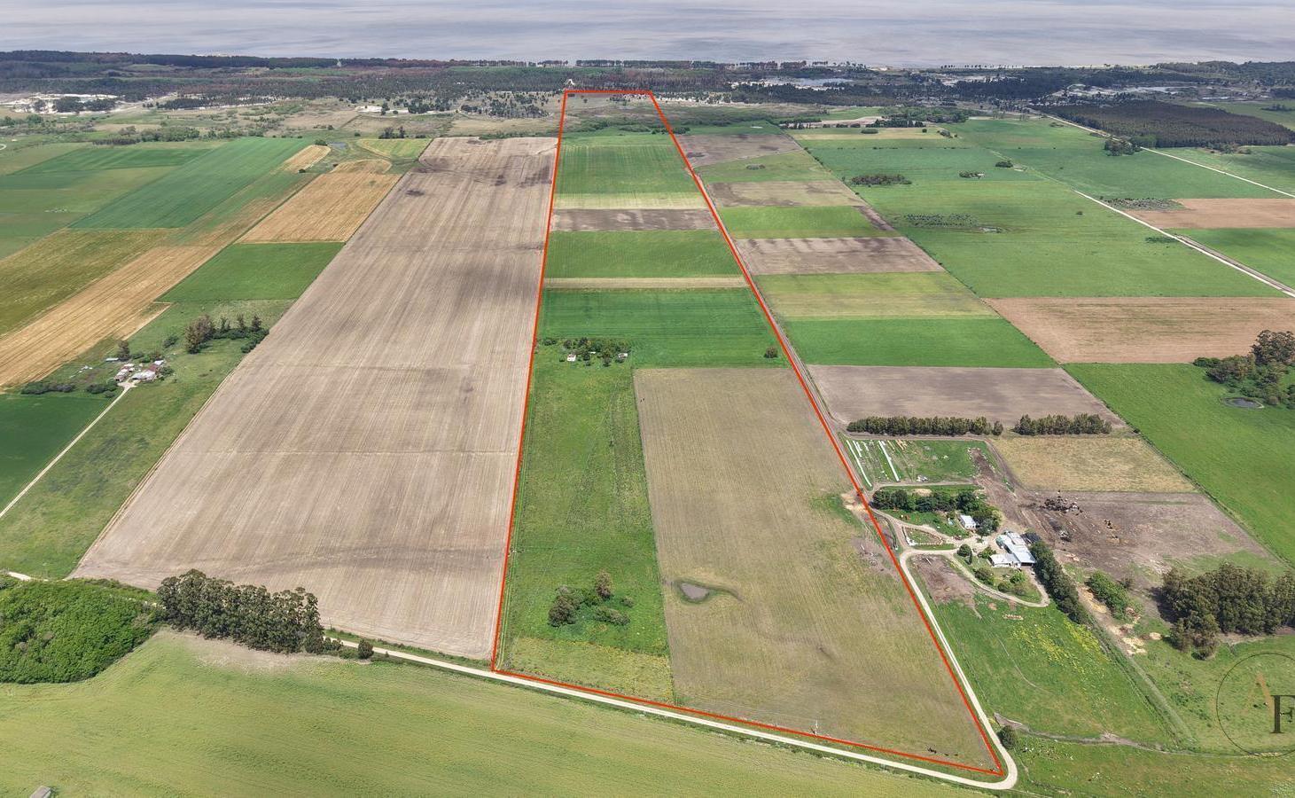 Foto de CAMPO AGRÍCOLA EN VENTA · 61 HECTÁREAS · SAN JOSÉ, imagen 1