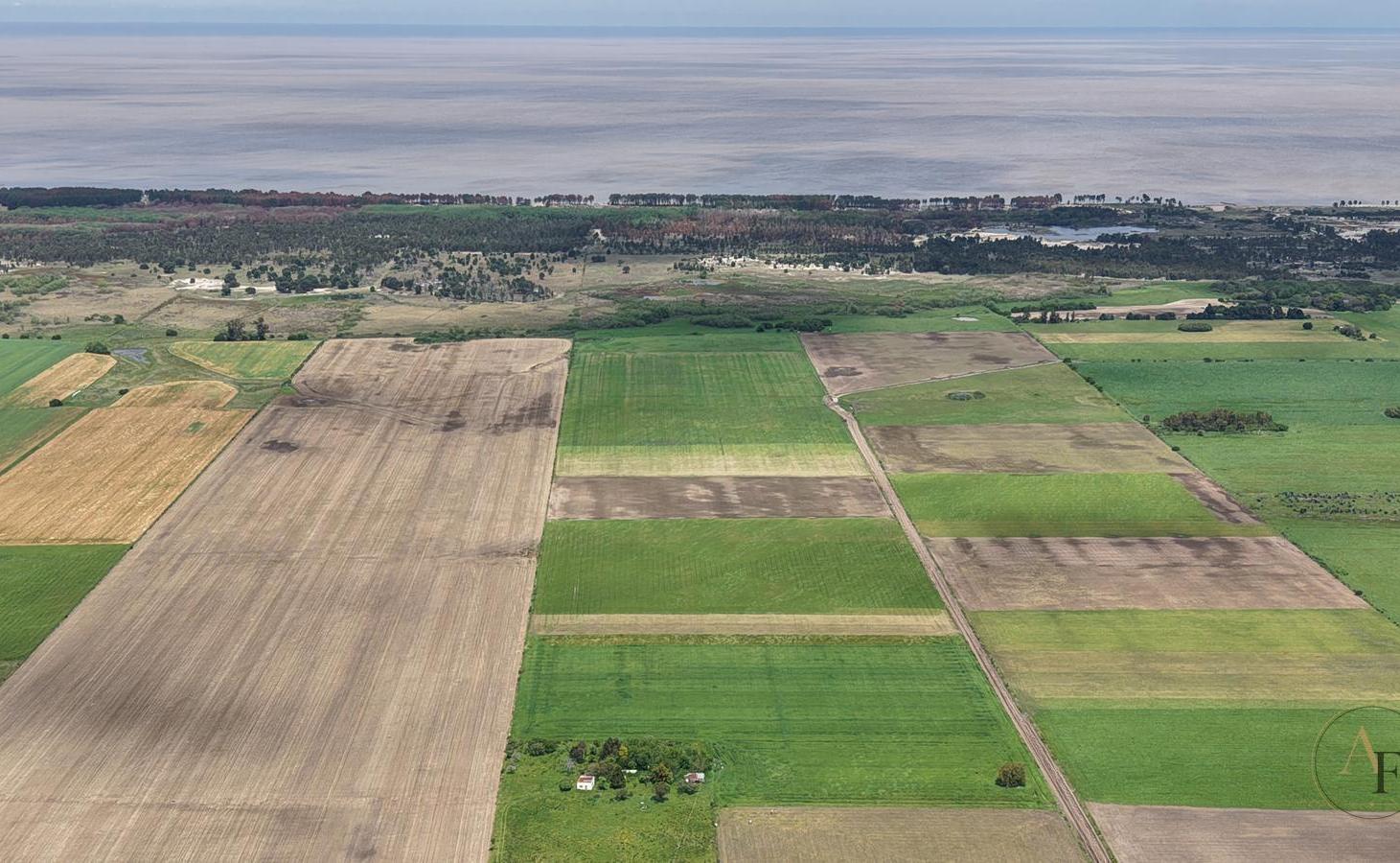 Foto de CAMPO AGRÍCOLA EN VENTA · 61 HECTÁREAS · SAN JOSÉ, imagen 3