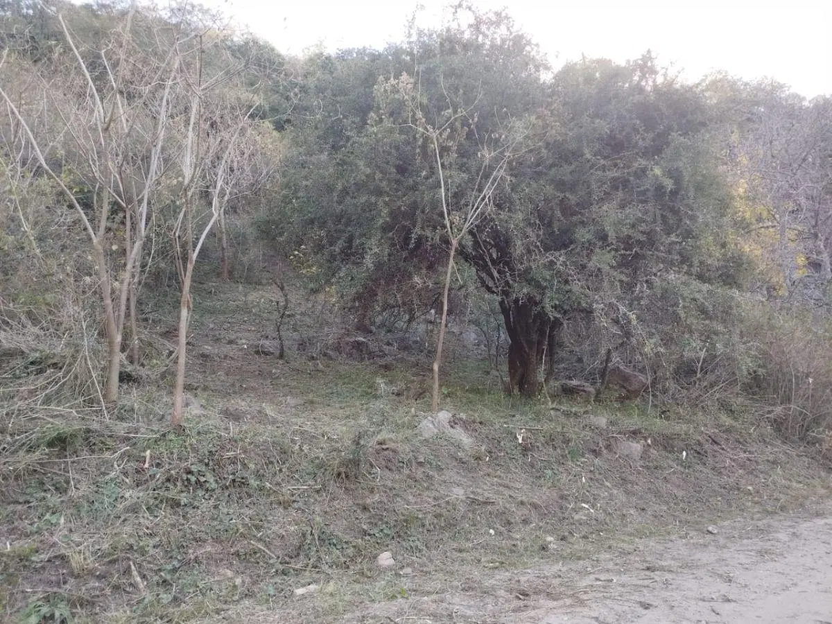 Terreno de gran tamaño en Terrazas de Rio Ceballos, escritura, entorno tranquilo y seguro 4