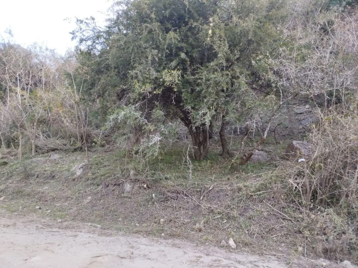 Terreno de gran tamaño en Terrazas de Rio Ceballos, escritura, entorno tranquilo y seguro 2