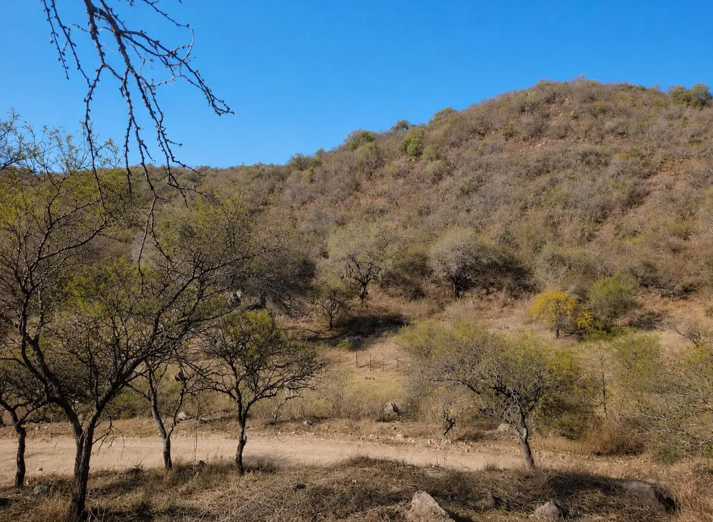 Lote de 301mts, en Río Ceballos, con poca pendiente, entorno tranquilo y seguro 2