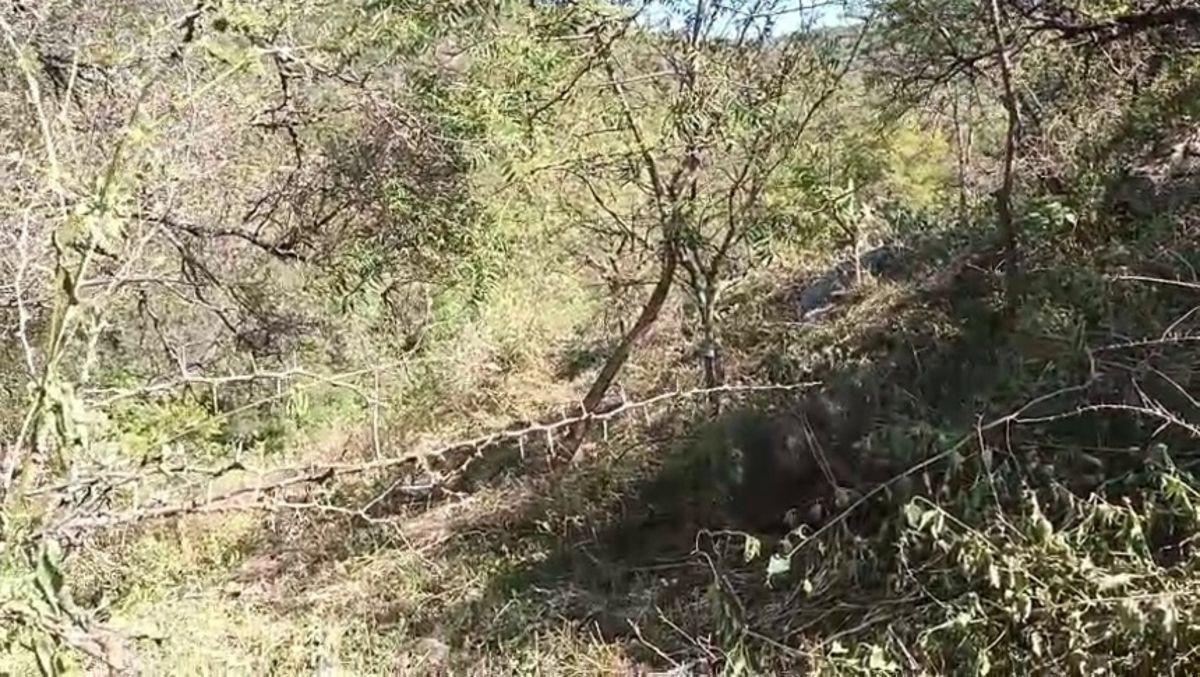 Foto de Lote de 377 m, en Río Ceballos, con Poca Pendiente, Entorno Tranquilo y Seguro. Escritura, imagen 5