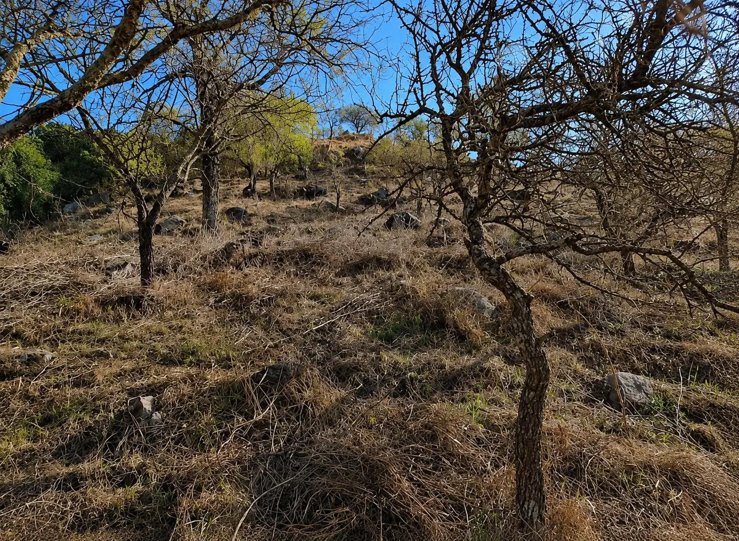 Lote de 377 m, en Río Ceballos, con Poca Pendiente, Entorno Tranquilo y Seguro. Escritura 2