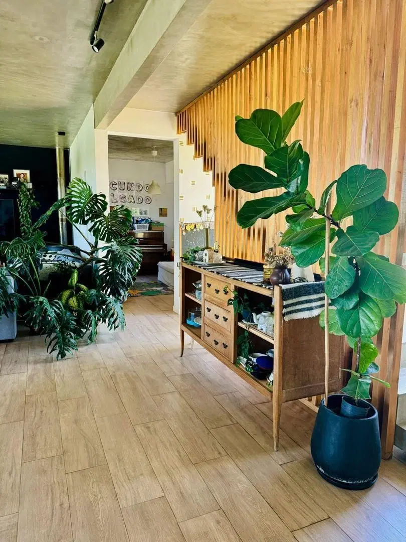 Venta Casa a la Laguna 6 ambientes San Rafael Villanueva, Tigre 3