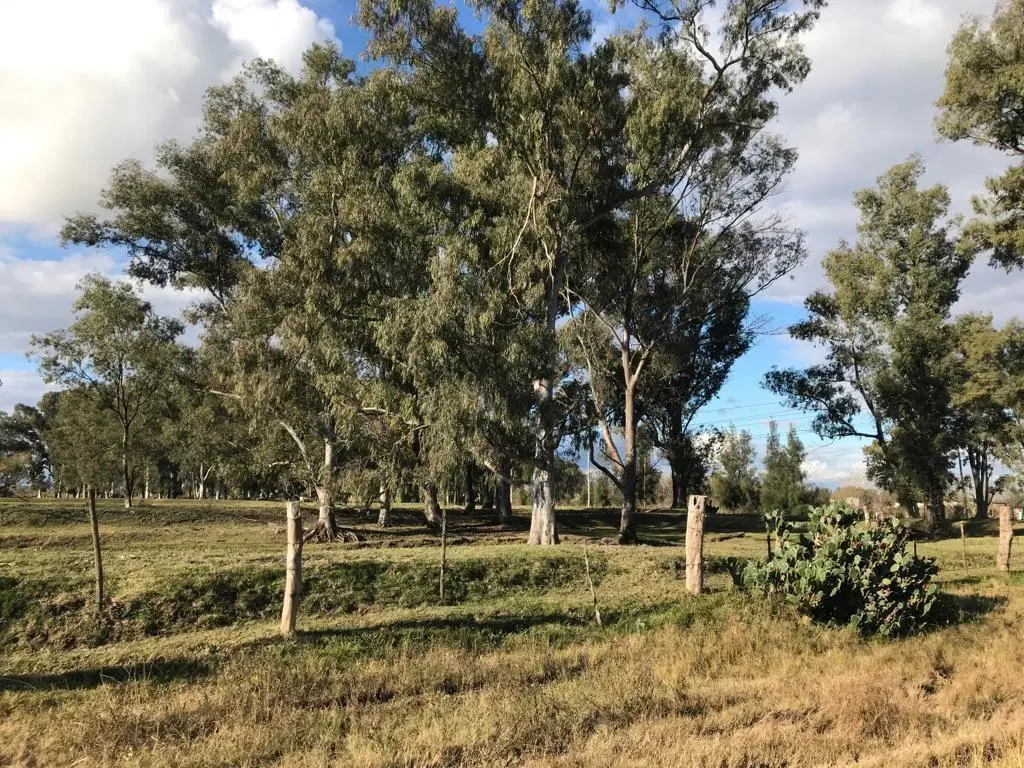 Terreno Lote en Venta en Ingeniero Maschwitz, Escobar, G.B.A. Zona Norte 3