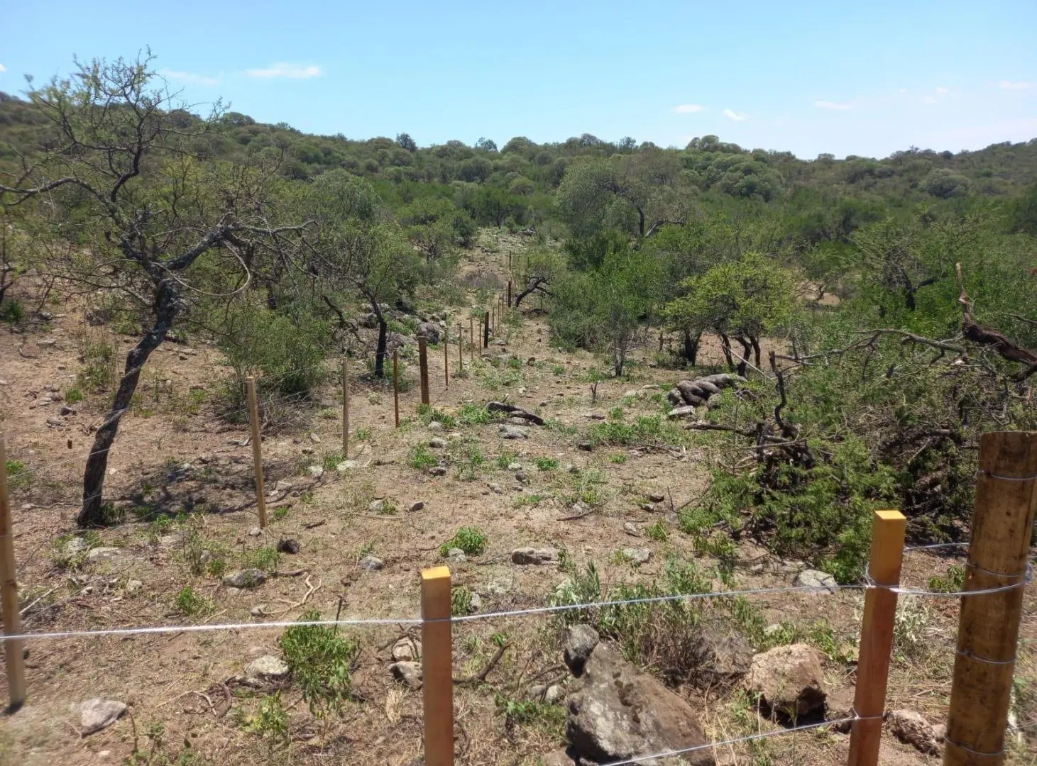 Lote a metros de Segunda Usina Embalse 2