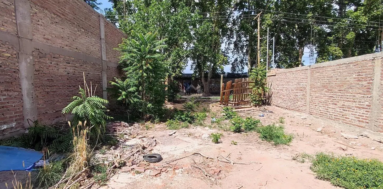 Terreno sobre calle Pascual Segura 4