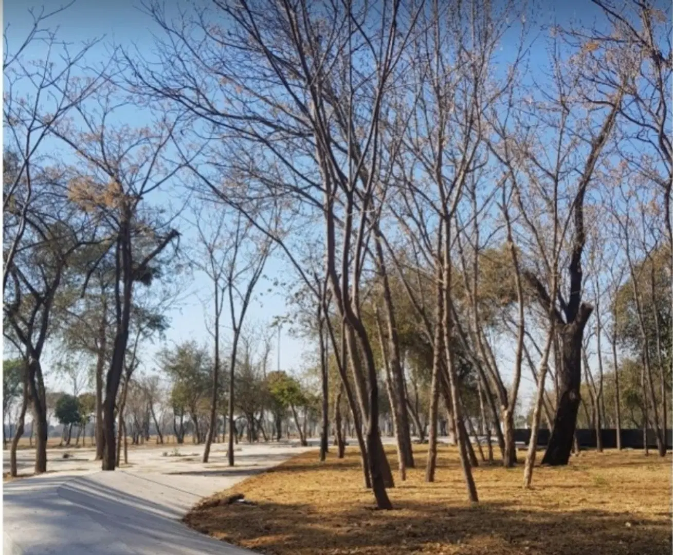 LA LUISITA! Terreno CENTRAL Apto Dúplex 360 Mts² - Seg 24 hs 4