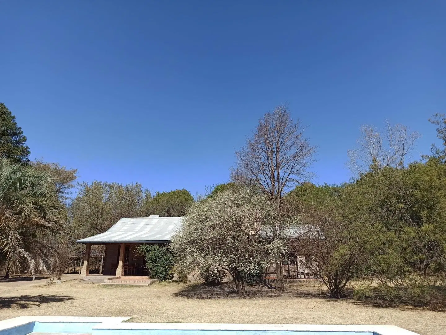 LA CAROLINA - Casa de 238m² con parque arbolado de 2500m². 4